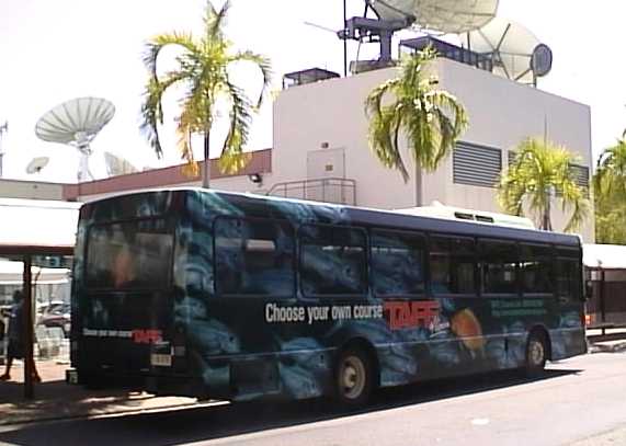 Darwin advert bus